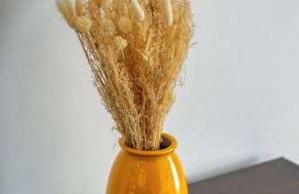 L'Auréa au centre de Rouen - Foto 6