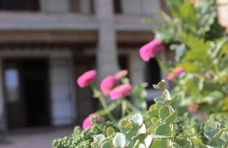 Il Ghiandolino - Foto 13