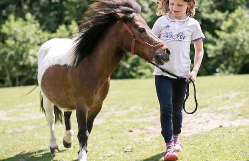 Gutshof Schulze-Althoff - Photo 6