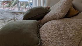 Tropical Apartaments Euroviajeros - Photo 2