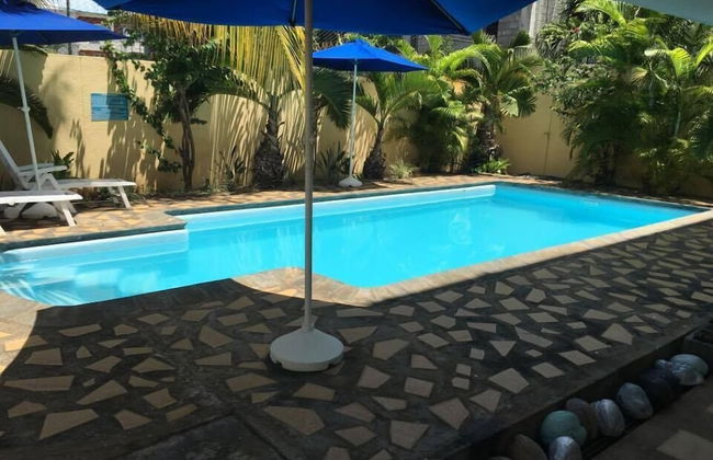 Faisan Dore - Photo 10