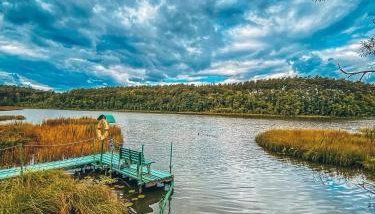 DOM w BORACH - Foto 3