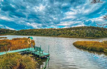 DOM w BORACH - Foto 3