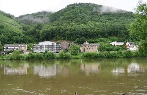Elegant Apartment with Direct River View, Balcony and Parking in Bernkastel-Kues - Photo 59