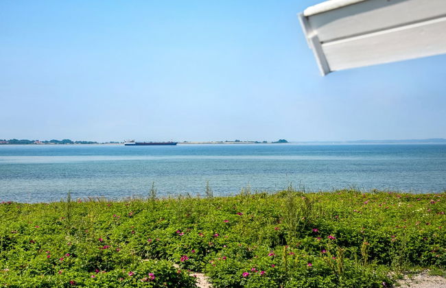 "Arnwith" - 20m from the sea - Foto 14