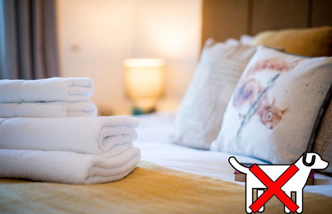 St. Tinney Farm - Photo 52