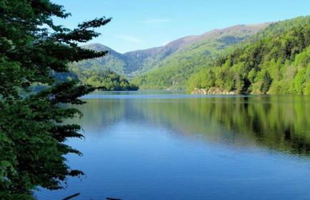 Maison RoMa, se ressourcer proche de Gerardmer et La Bresse - Foto 33
