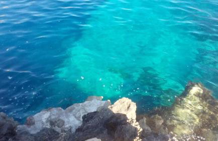 Cottage Melita the Apartment for Animal Lovers - Foto 58