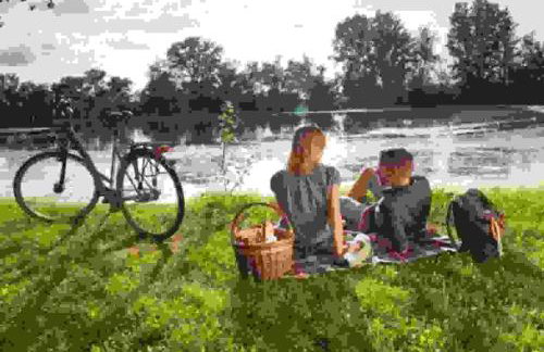 Ferienwohnung Rheinzabern - Foto 22