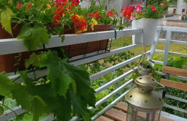 Jane's Garden - Foto 33