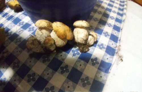 Da Nicola e Laura - Photo 20