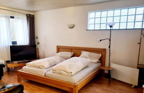 Apartment zum Wohlfühlen in ruhiger Lage - Foto 3