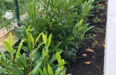 Kuća kod Fajdara - Foto 37