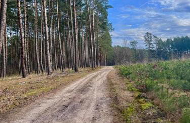 Siedlisko Kochówka - Foto 8