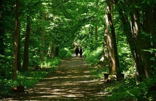 gîte de la scierie - Foto 22