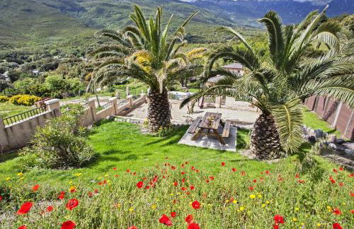 Gites Carolina - Foto 18