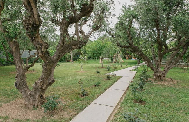 Studio Rio Unique Space With Garden and Garage - Foto 4