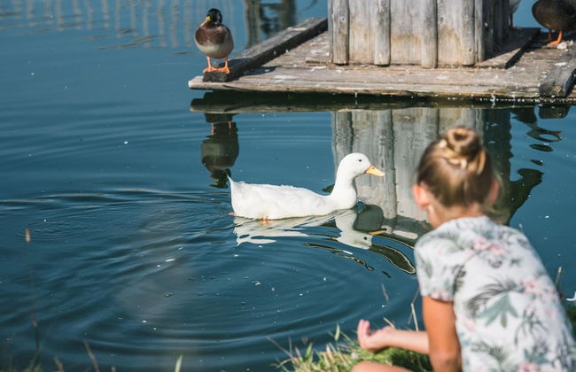 Sunny Apartment in Wagrain - Foto 68