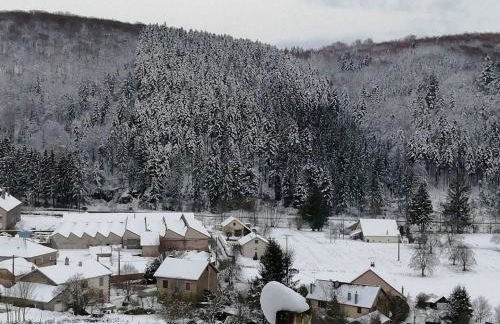 Gîte 2 chambres avec WiFi, proche Luxeuil-les-Bains - FR-1-583-368 - Foto 32