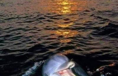 Stunning unobstructed 180 degree sea view apartment with 100 square meters terrace - Costa del Sol - Estepona- Long Term - Photo 26