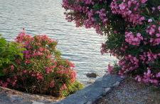 Apartman Grospic - Foto 42