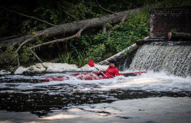Miły Młyn - Foto 62