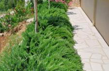 KUĆA U PRIRODI LI - Foto 27