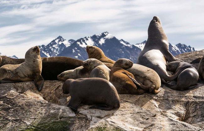 Paseo en yate por el Canal Beagle + Trekking por isla Bridges - Foto 1