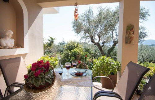 Pura Vida Home - Foto 29