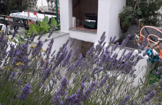 Marjetka Charming Apartments - Foto 27