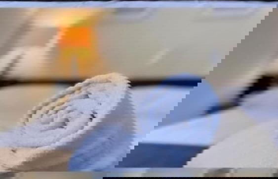 Binder Hotel Mogi Guacu - Photo 1