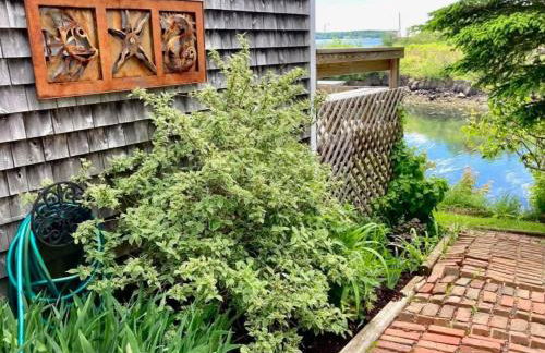 Shackford Cove Cottage - Photo 20