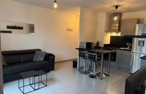 Modern house Hyper centre CDG PARIS Parc Astérix - Foto 4