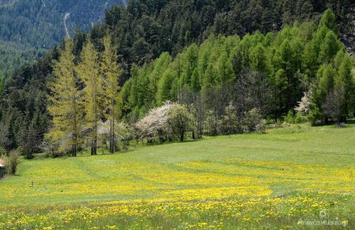 Chalet Tir Longë - Foto 45