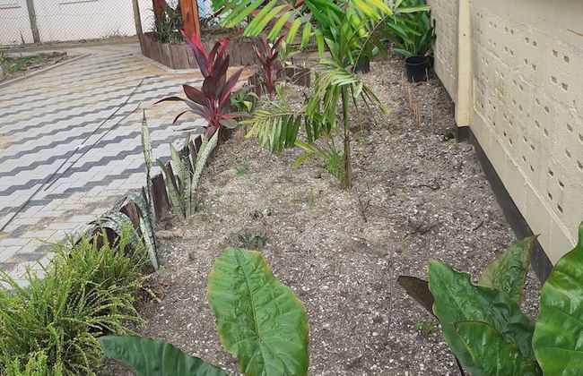 Max Garden and Pool - Photo 59