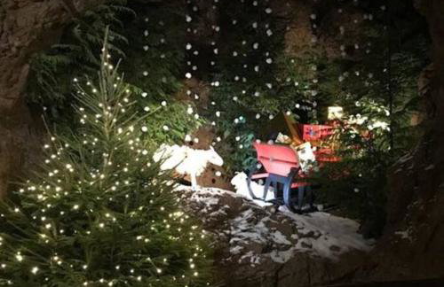 The Owl House Cottage - Foto 43