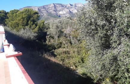 MASIA DE LUZ - Foto 26