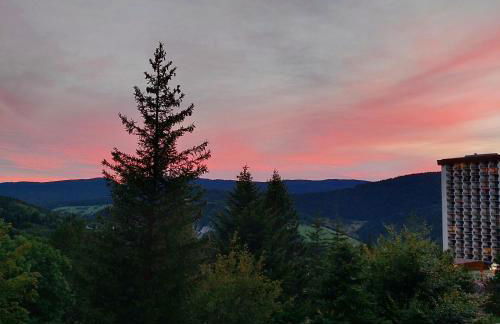 Studio aux pieds des pistes - Le Balcon de Villard - Foto 23
