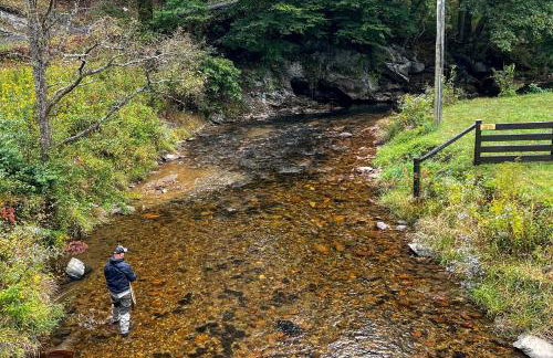 Mountain Haven Little House on Big Horse Creek - Foto 31