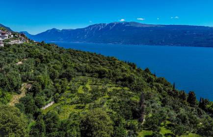 Altavista - Vista lago panoramica 180 gradi - Foto 38