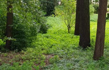 Westwood Cottage - Foto 38