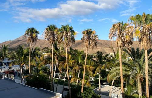 Cactus del Mar - Photo 17