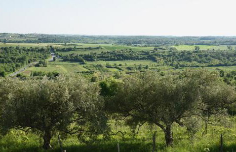 Villa Sofia - Foto 14