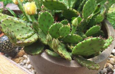 Kuća za odmor uz rijeku Utinju - Foto 75