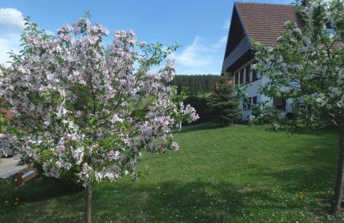 Haus Fehrenbach - Foto 13