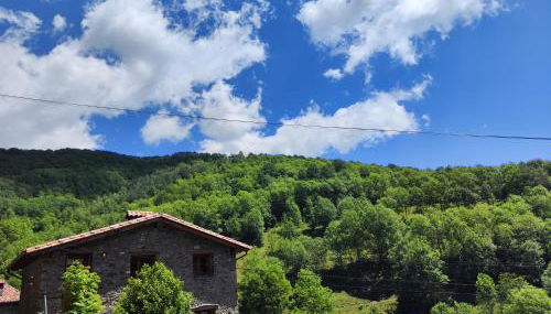 Allotjaments Cal Llarg - Foto 4