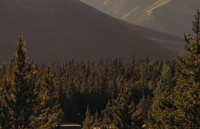 Skyridge Glamping - Foto 45