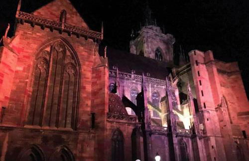 Studio "Le Cocon" proche Colmar - Free Parking & Wifi - Foto 36