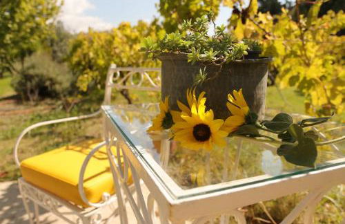 Eressos Ilios Apartments - Photo 15