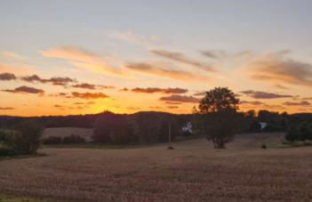 Ferienwohnung Kransevitz - Foto 12